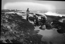 BLACK &amp; WHITE NEGATIVE * snapshot PEOPLE BEACH TIDEPOOLS no location - $7.95