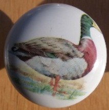 Cabinet Knobs Knob w/ Mallard  Duck #2 BIRD - £4.07 GBP