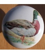 Cabinet Knobs Knob w/ Mallard  Duck #2 BIRD - $7.13 CAD