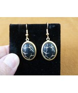 (EE-241) black + gold crackle oval Czech glass oval dangle wire hook ear... - $19.62