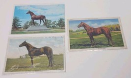 3 VTG Antique Linen Postcard Man O War The Wonder Horse Post Card Lot Kentucky - £15.19 GBP