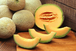 Cantaloupe melon dulce sweet exotic fruit seed 100 SEEDS - £13.36 GBP