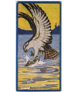 Cowan Co Toronto Card Bird Osprey - $9.89