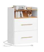 2 Drawer File Cabinet with Charging Station Printer Stand with Open Storage - £203.68 GBP