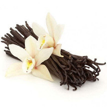 Vanilla-Infused oil 10ml - $8.06