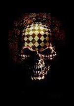 Alchemy Poster Flag Resurrection Skull - $14.99