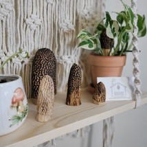 Mixed set of Carved Morel Merchrooms Variety Pack Plant Stake Decor Mushroom - £44.67 GBP