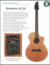 Breedlove SC 25 Acoustic + Burns Marvin Shadows Custom Electric guitar a... - £3.34 GBP