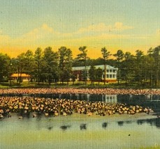 1950s Pine Bluff Lily Pond &amp; Hospital Postcard Linen Salisbury Maryland ... - $10.99