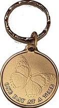 RecoveryChip Butterfly One Day at A Time Bronze Serenity Prayer Keychain - £4.64 GBP