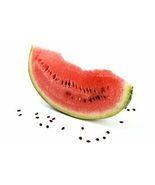 40 Watermelon Charleston Grey Great Heirloom Vegetable Seeds - £7.06 GBP
