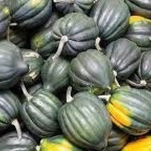 Table Queen Winter Squash Seeds New Fresh US Shipping - $89.47 MXN