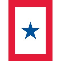 Family Member In Service Star Flag with Grommets 28&quot; x 40&quot; - £25.46 GBP