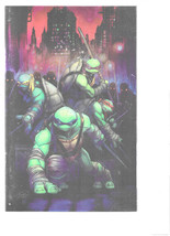 Teenage Mutant Ninja Turtles #148 Virgin Variant 2024 IDW Comic Book - £31.37 GBP