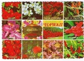 Hawaii Postcard Multi View Flowers of Hawaii Hibiscus Orchids Bird of Paradise - £1.72 GBP