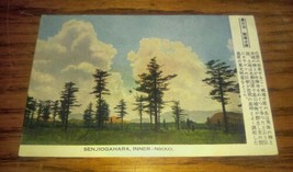 Vintage Senjiogahara Inner Nikko Japan Unused Postcard Oriental Trees - £10.34 GBP