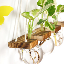 Wall Hanging Water-grown Plant Wooden Frame Hydroponic Vase, Wall Hangin... - £22.29 GBP