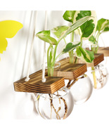 Wall Hanging Water-grown Plant Wooden Frame Hydroponic Vase, Wall Hangin... - £22.11 GBP