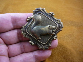 (b-squir-54) fat Squirrel wild baby squirrels little forest skunk pin pe... - $19.62