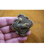 (b-squir-54) fat Squirrel wild baby squirrels little forest skunk pin pe... - $26.71 CAD