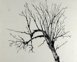 View From A Tree by Max Alden Coots / 1989 Poetry Collection / Northern NY - $10.26