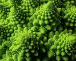 Romanesco Broccoli Seeds 300 Exotic Garden Italia Vegetables Fast Shipping - $8.99