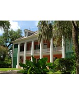 2025 Fresh Roasted Coffee 8 oz - Whole Bean - Plantation Blend Coffee Me... - €12,81 EUR 2025 Fresh Roasted Coffee 8 oz - Whole Bean - Plantation Blend Coffee Me... - €12,81 EUR