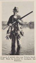 1937 Magazine Photo Hunter,Shotgun Bunch of Pintail Ducks Victoria Island,CA - £6.02 GBP
