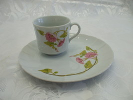 Vintage Toscany Collection Morning Glory 2 Pc Tea Cup And Snack Plate - $29.99