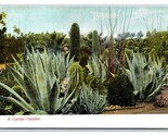 Cactus Giardino Unp Non Usato DB Cartolina M17 - $3.03