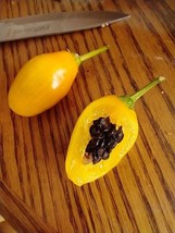 Manzano Pepper Yellow Teardrop 24 seeds FREE DELIVERY - $2.96