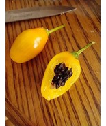 Manzano Pepper Yellow Teardrop 24 seeds FREE DELIVERY - $4.02 CAD