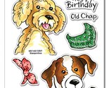 Stampendous Dog Years Stamps Birthday Dogs Scarf Bandana Collar Old Girl... - $14.99