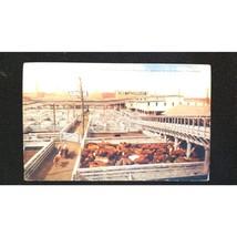 Union Stockyard Chicago IL Illinois, Cattle Pens &amp; Runways, Vintage Postcard - £2.95 GBP