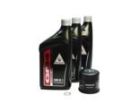 2006-2020 Honda Shadow 750 VT750 C CA CS CE C2 DC RS OEM Oil Change Kit H17 - £39.86 GBP