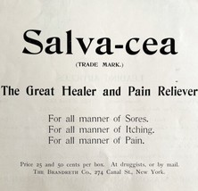 Salvacea Pain Reliever Medicine 1894 Advertisement Victorian Medical DWKK16 - £15.68 GBP