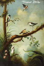 Tropical Birds 20 x 30 Poster - £20.76 GBP