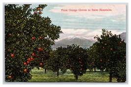 Oranges and Mountains State View California CA Agriculture UNP DB Postcard D19 - £2.30 GBP