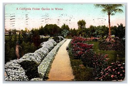 Flower Garden In Winter California CA 1910 DB Postcard W4 - £2.37 GBP