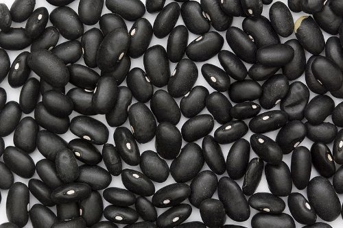 50 BLACK BEAN (Black Turtle Bush Bean) Phaseolus Vulgaris Vegetable Seeds