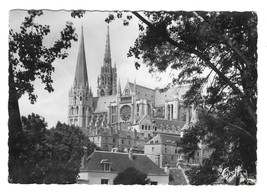 France Chartres Notre Dame Cathedral South Side GREFF 4X6 Postcard Glossy RPPC - £3.89 GBP