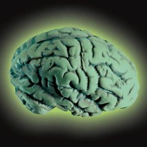 Glow Brain - $201.15 MXN