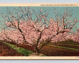 Peach Orchard in Bloom Southern Pines North Carolina NC UNP Linen Postca... - £3.07 GBP