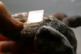 Item image 7