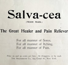 Salvacea Pain Reliever Medicine 1894 Advertisement Victorian Medical DWKK16 - $369.57 MXN