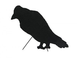 EUROPALMS Silhouette Crow, 24 13/16in - £12.14 GBP