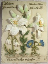 Plaque 3D Resin Flowers Botanical Lilies White &amp; Blue 6.5&quot; x 8.5&quot;. - £15.85 GBP