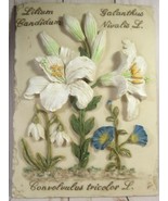 Plaque 3D Resin Flowers Botanical Lilies White &amp; Blue 6.5&quot; x 8.5&quot;. - £15.78 GBP