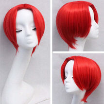 Shanks Wig - $28.00
