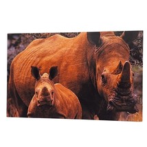 Postcard World Wildlife Fund African Rhino Rhinoceros Safari Animal Chrome - $90.22 MXN